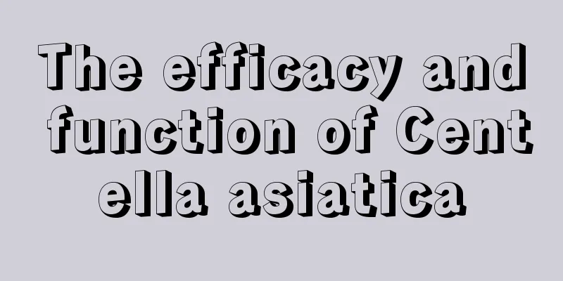 The efficacy and function of Centella asiatica