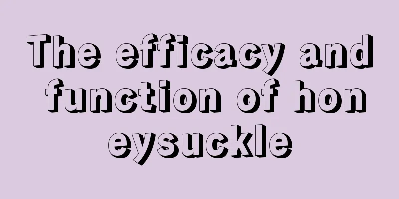 The efficacy and function of honeysuckle