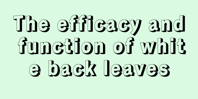 The efficacy and function of white back leaves