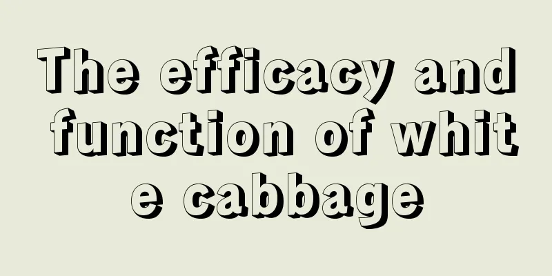 The efficacy and function of white cabbage