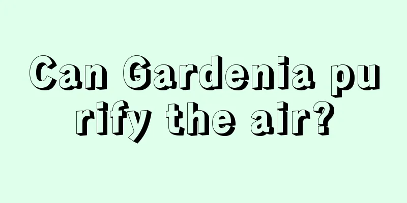 Can Gardenia purify the air?