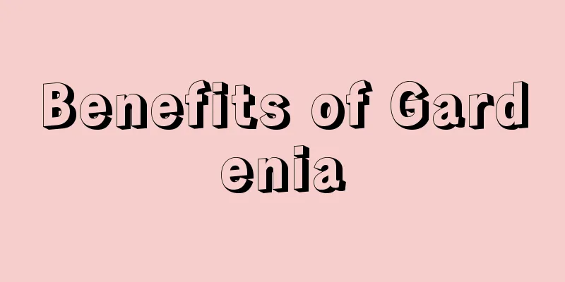 Benefits of Gardenia