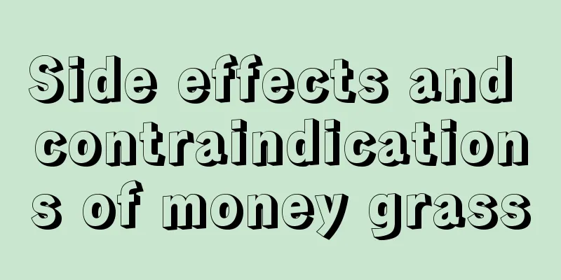 Side effects and contraindications of money grass