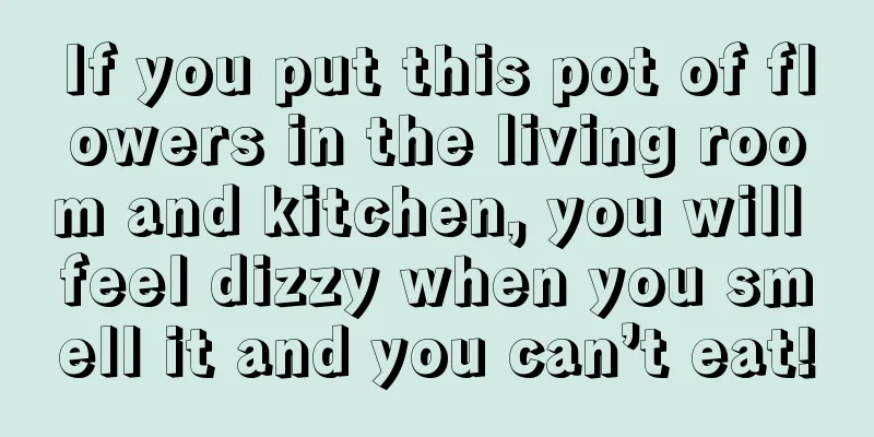 If you put this pot of flowers in the living room and kitchen, you will feel dizzy when you smell it and you can’t eat!