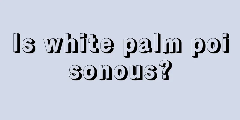 Is white palm poisonous?