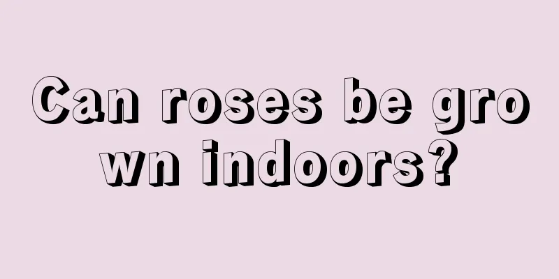 Can roses be grown indoors?