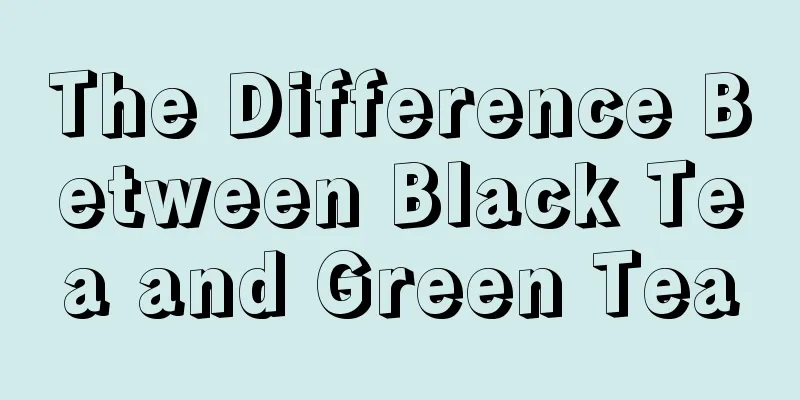 The Difference Between Black Tea and Green Tea