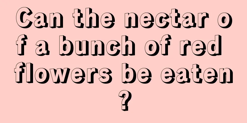 Can the nectar of a bunch of red flowers be eaten?