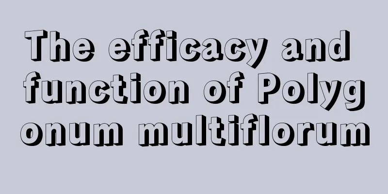 The efficacy and function of Polygonum multiflorum