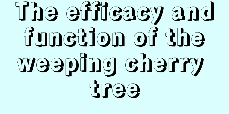 The efficacy and function of the weeping cherry tree