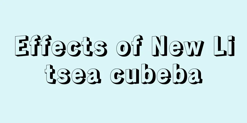 Effects of New Litsea cubeba