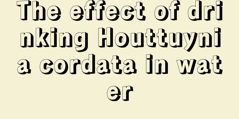 The effect of drinking Houttuynia cordata in water