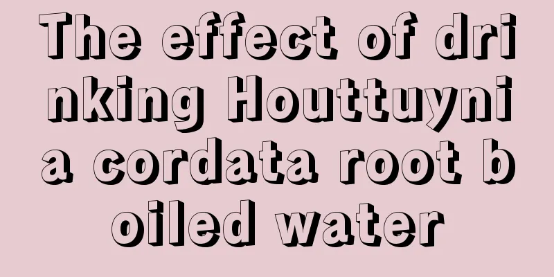 The effect of drinking Houttuynia cordata root boiled water