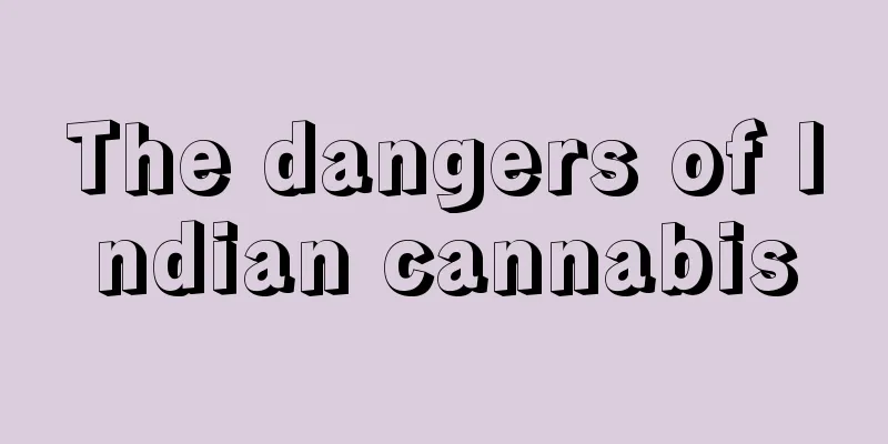 The dangers of Indian cannabis