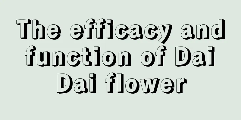 The efficacy and function of Dai Dai flower