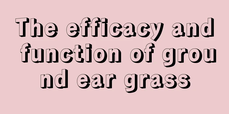 The efficacy and function of ground ear grass