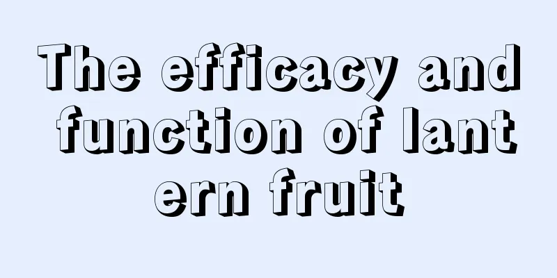 The efficacy and function of lantern fruit