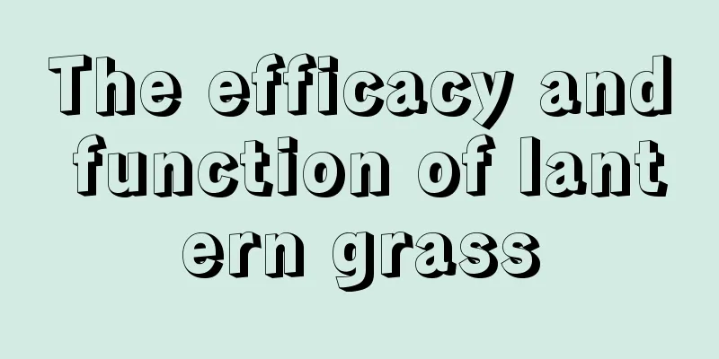 The efficacy and function of lantern grass