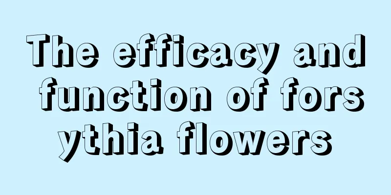 The efficacy and function of forsythia flowers