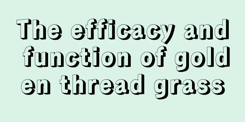 The efficacy and function of golden thread grass