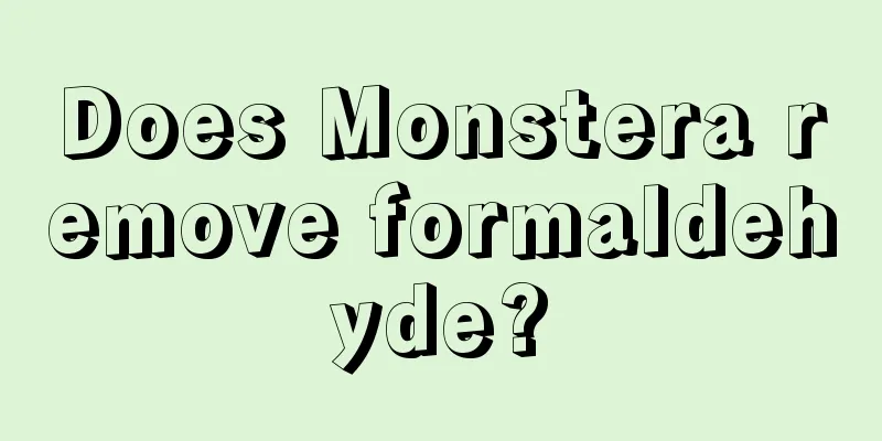 Does Monstera remove formaldehyde?