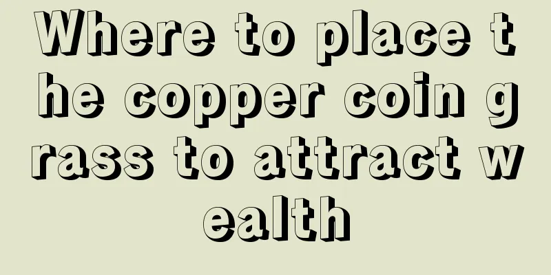 Where to place the copper coin grass to attract wealth