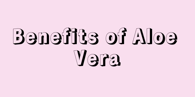 Benefits of Aloe Vera