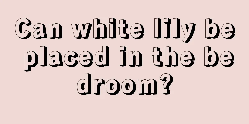 Can white lily be placed in the bedroom?