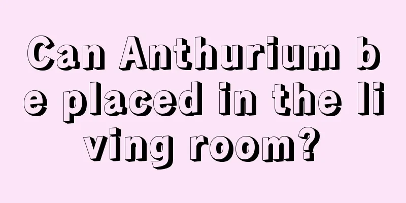 Can Anthurium be placed in the living room?