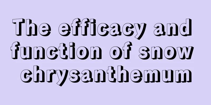 The efficacy and function of snow chrysanthemum