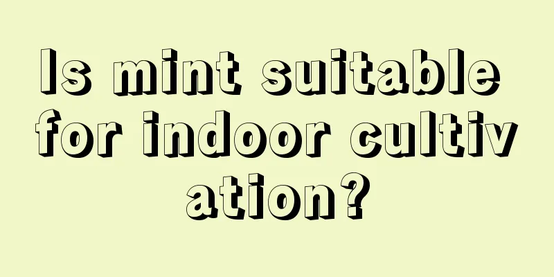 Is mint suitable for indoor cultivation?