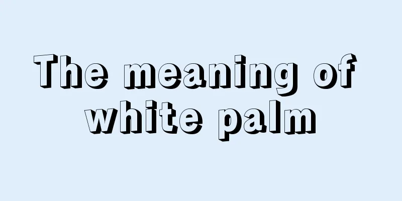 The meaning of white palm