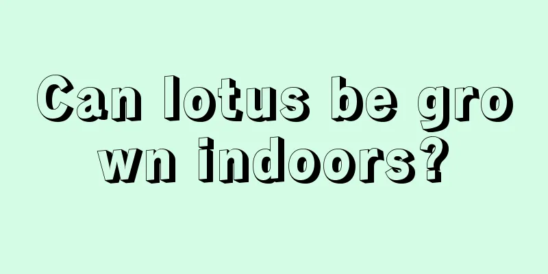 Can lotus be grown indoors?