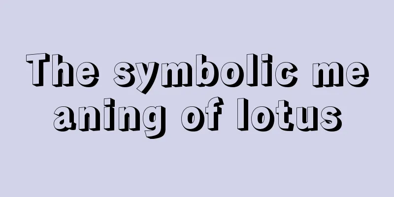 The symbolic meaning of lotus