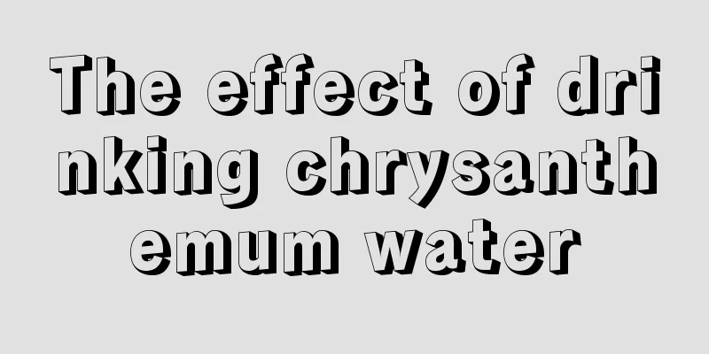 The effect of drinking chrysanthemum water