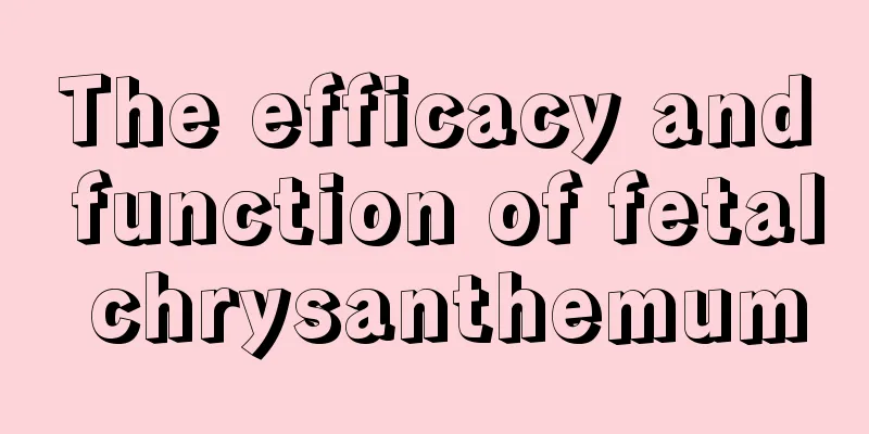 The efficacy and function of fetal chrysanthemum