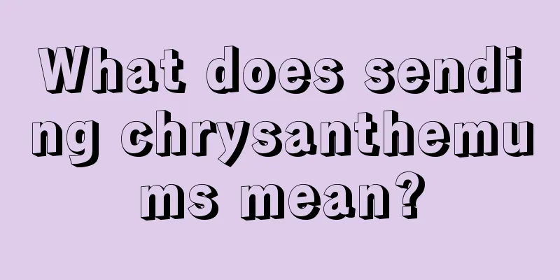 What does sending chrysanthemums mean?