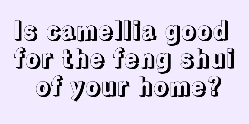 Is camellia good for the feng shui of your home?