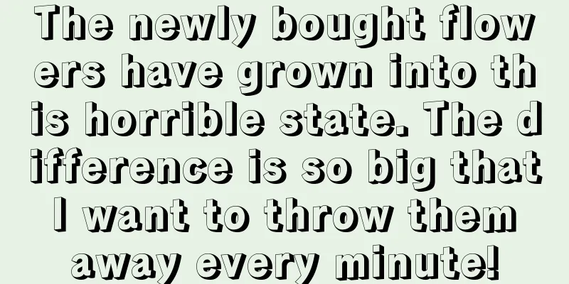 The newly bought flowers have grown into this horrible state. The difference is so big that I want to throw them away every minute!