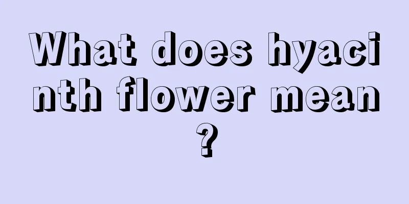 What does hyacinth flower mean?