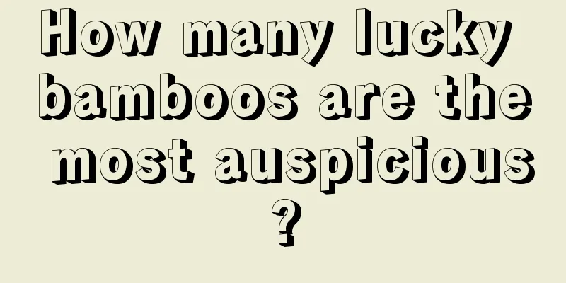 How many lucky bamboos are the most auspicious?