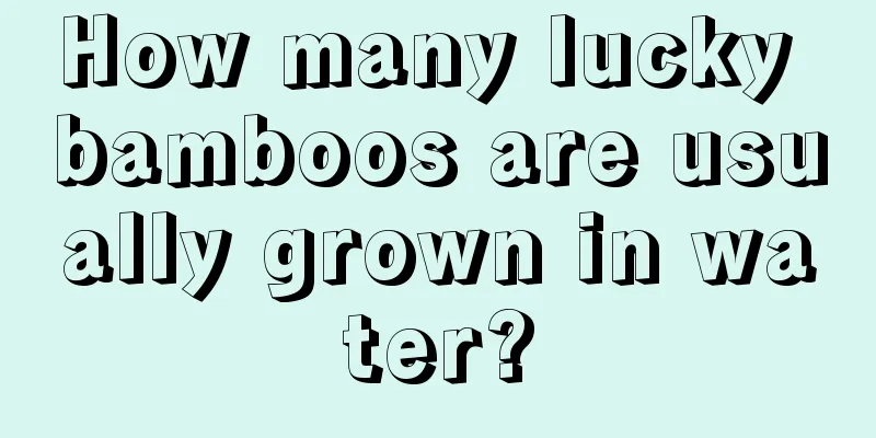 How many lucky bamboos are usually grown in water?