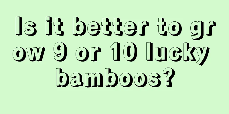 Is it better to grow 9 or 10 lucky bamboos?