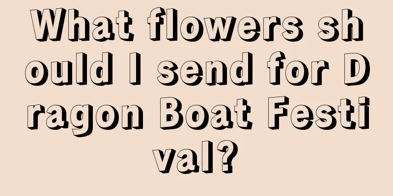 What flowers should I send for Dragon Boat Festival?