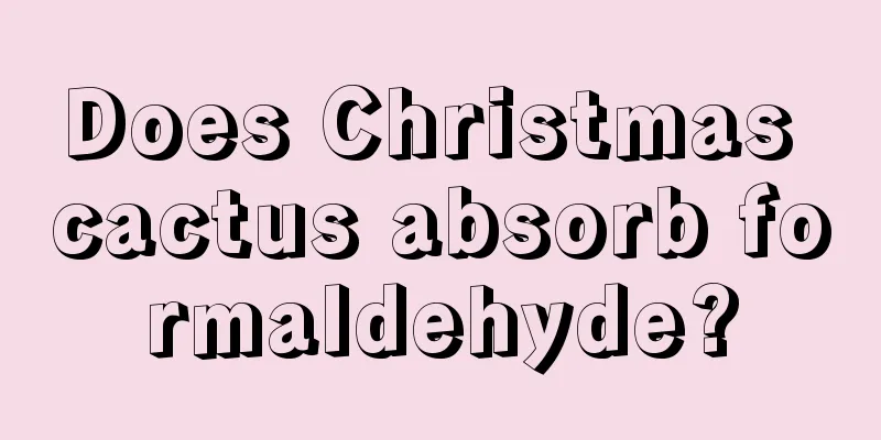 Does Christmas cactus absorb formaldehyde?