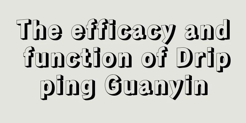 The efficacy and function of Dripping Guanyin