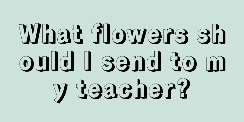 What flowers should I send to my teacher?