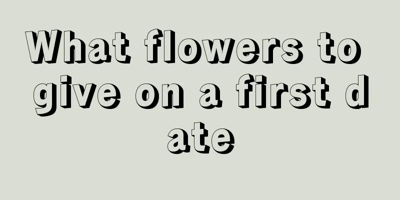 What flowers to give on a first date