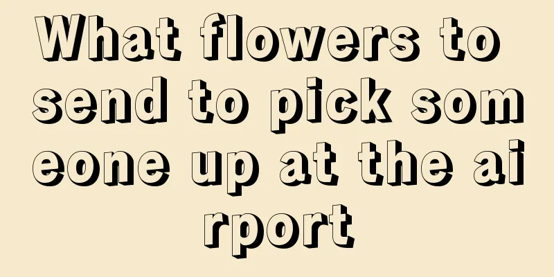 What flowers to send to pick someone up at the airport