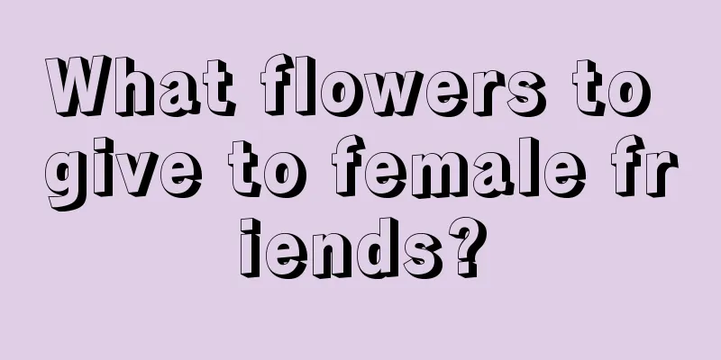 What flowers to give to female friends?